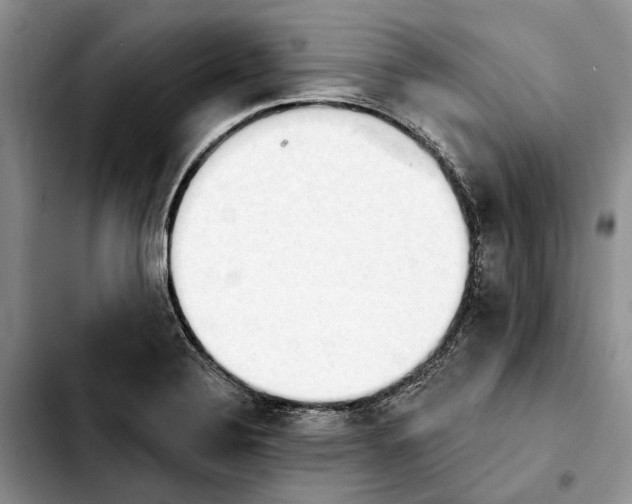 X0000103931324200810101344