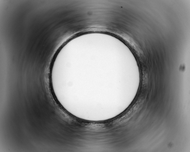 X0000103931325200810101344