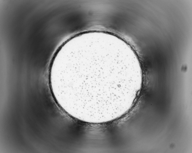 X0000103931326200810101344