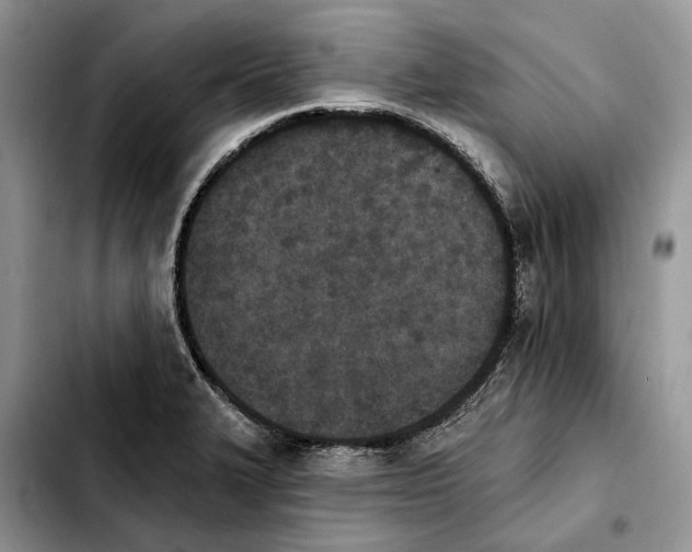 X0000103931327200810101344