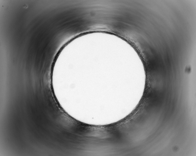 X0000103931328200810101344