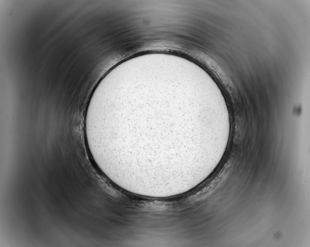 X0000103931329200810101344