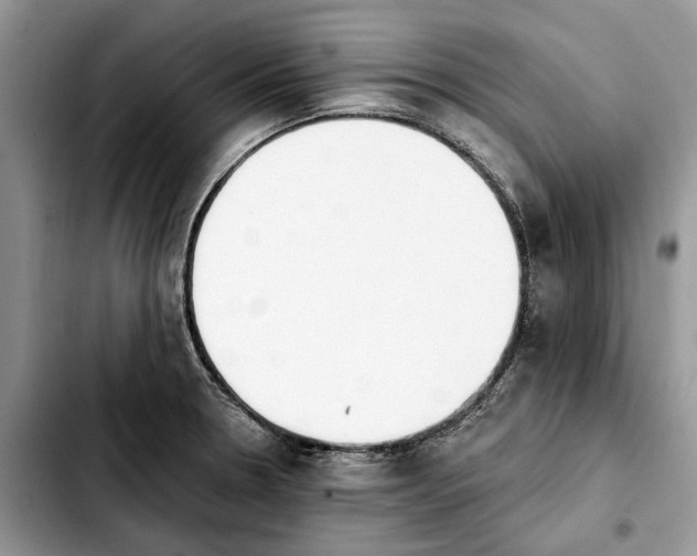 X0000103931330200810101344