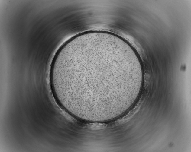 X0000103931331200810101344