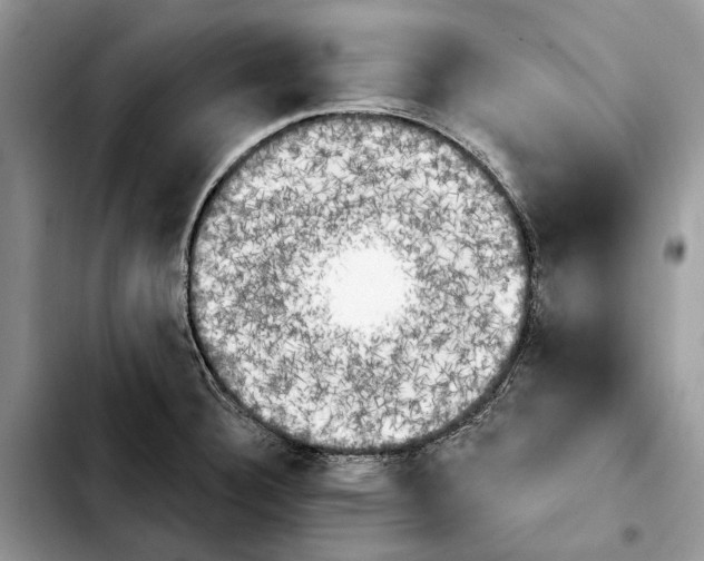 X0000103931332200810101344