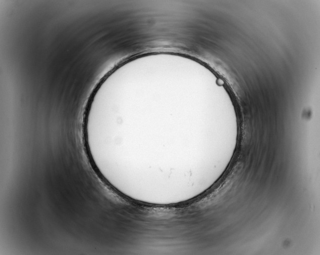 X0000103931333200810101344