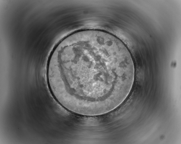 X0000103931334200810101344