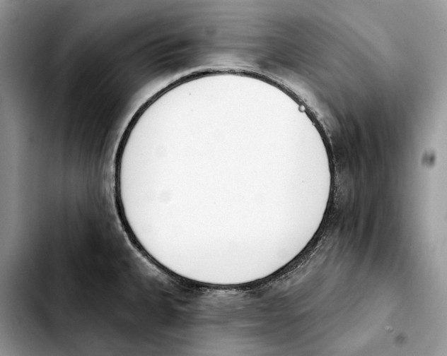 X0000103931335200810101344