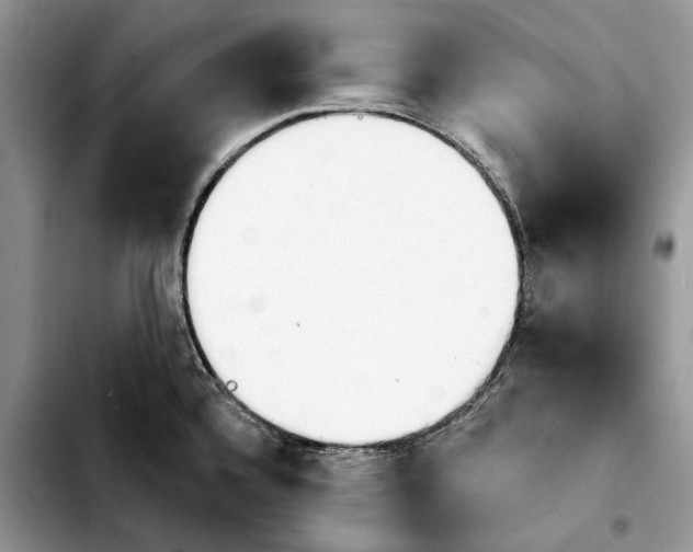 X0000103931336200810101344