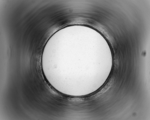 X0000103931337200810101344