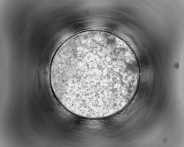 X0000103931338200810101344