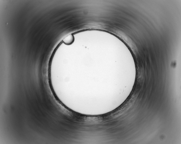 X0000103931339200810101344