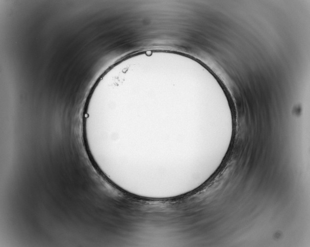 X0000103931341200810101344