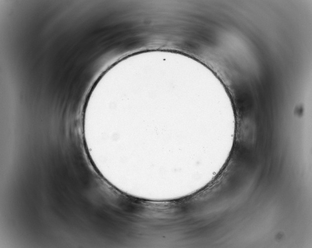 X0000103931342200810101344