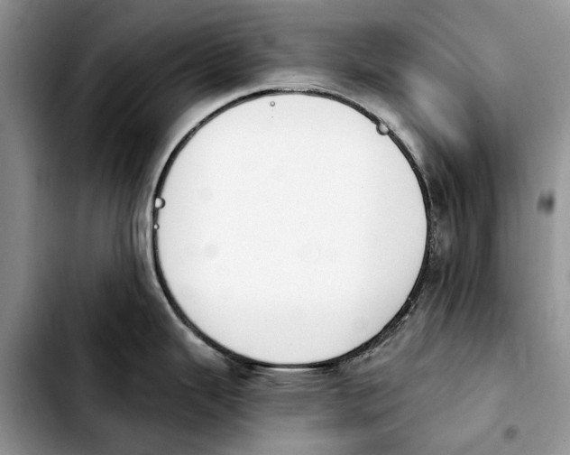 X0000103931343200810101344