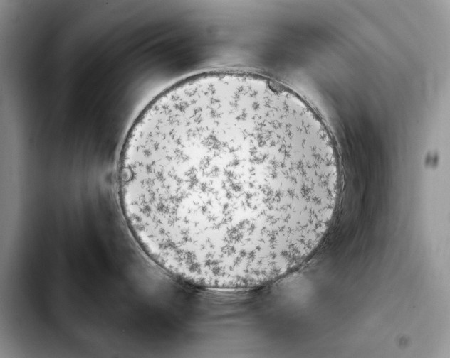 X0000103931344200810101345