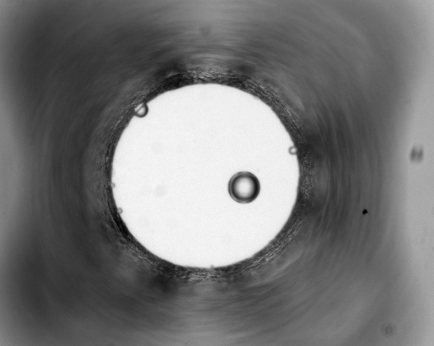 X0000103931345200810101344