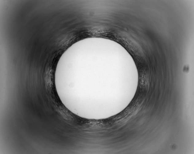 X0000103931346200810101344