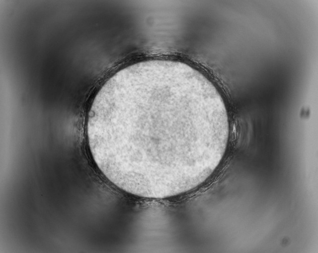 X0000103931348200810101344