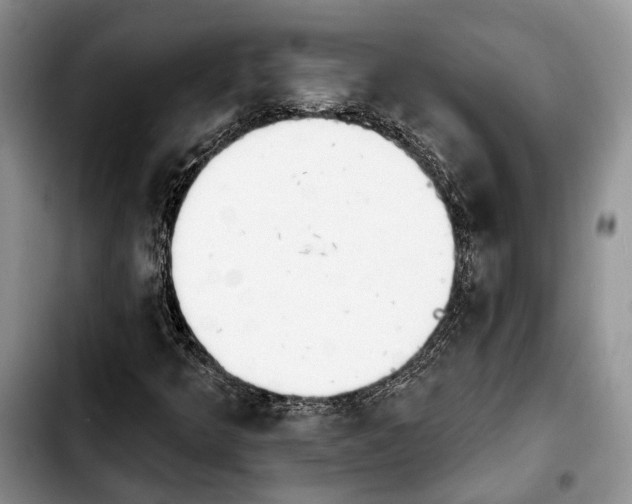 X0000103931349200810101344