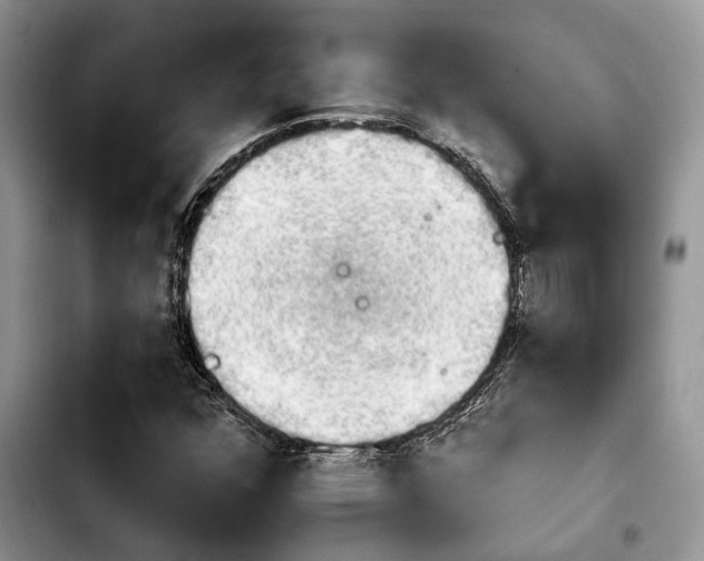 X0000103931352200810101344