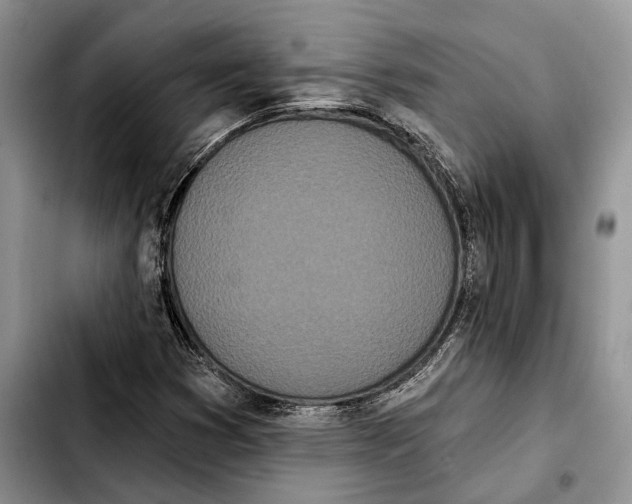 X0000103931353200810101344