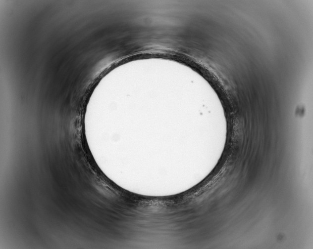 X0000103931355200810101344