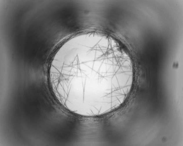 X0000103931356200810101344