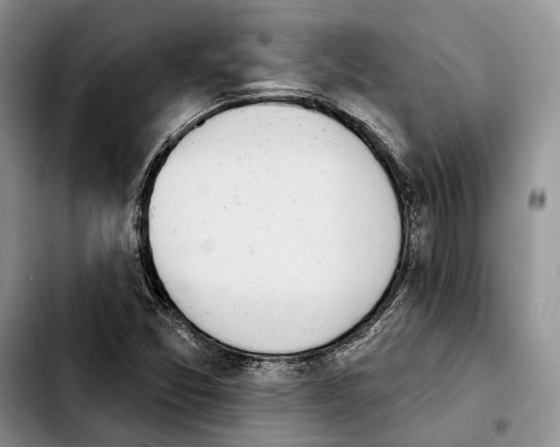 X0000103931357200810101344