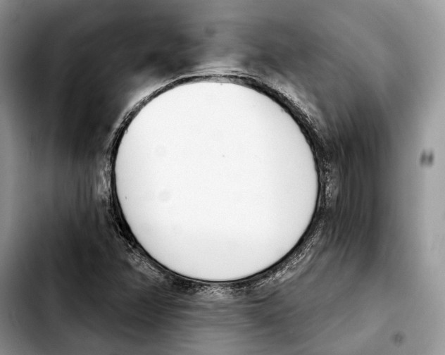 X0000103931358200810101344