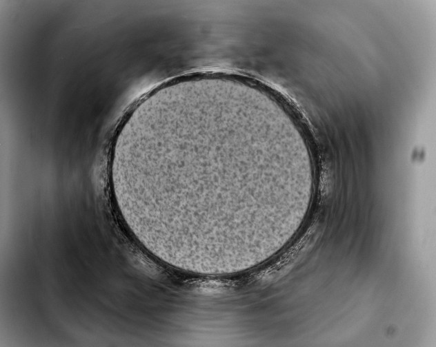 X0000103931359200810101344