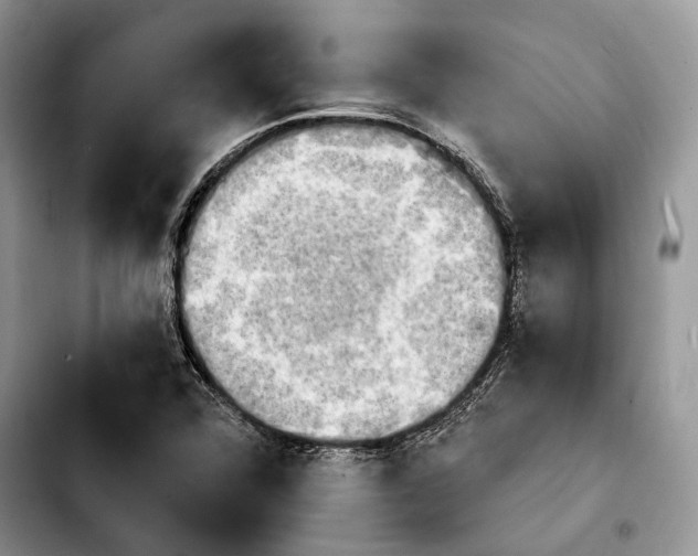 X0000103931360200810101344