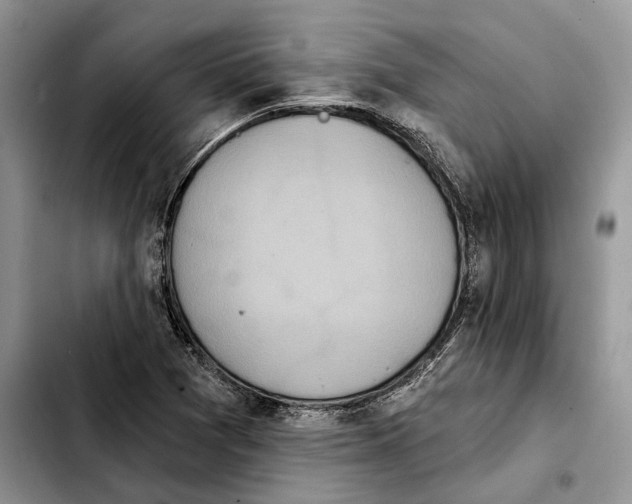 X0000103931361200810101344