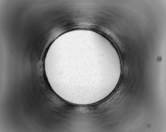 X0000103931362200810101344