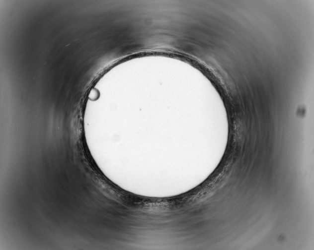 X0000103931363200810101344