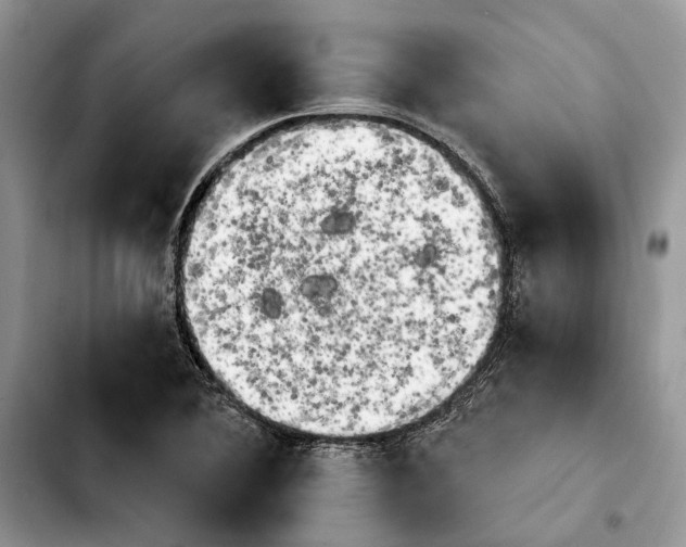 X0000103931364200810101343