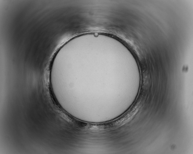 X0000103931365200810101343