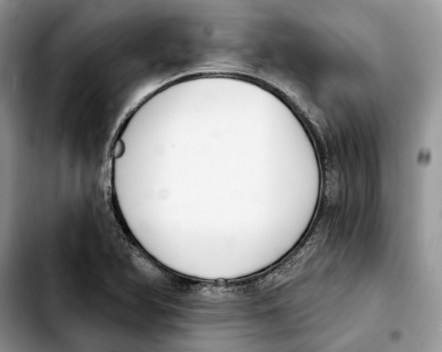 X0000103931366200810101343