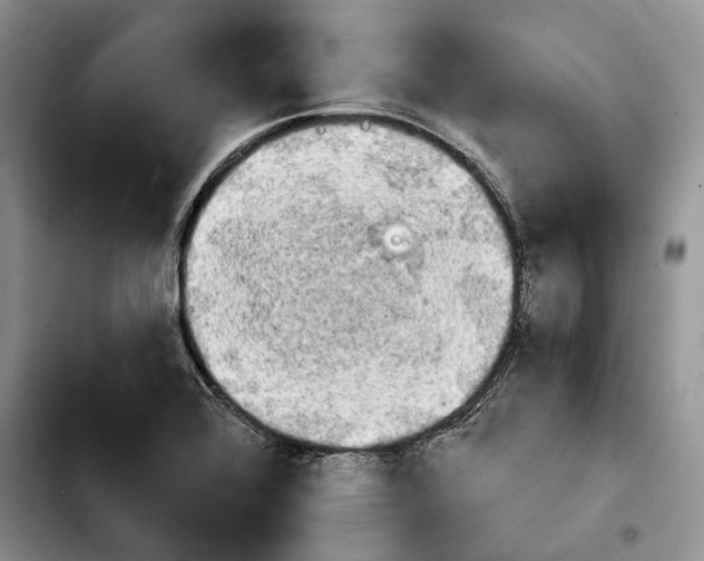 X0000103931368200810101343