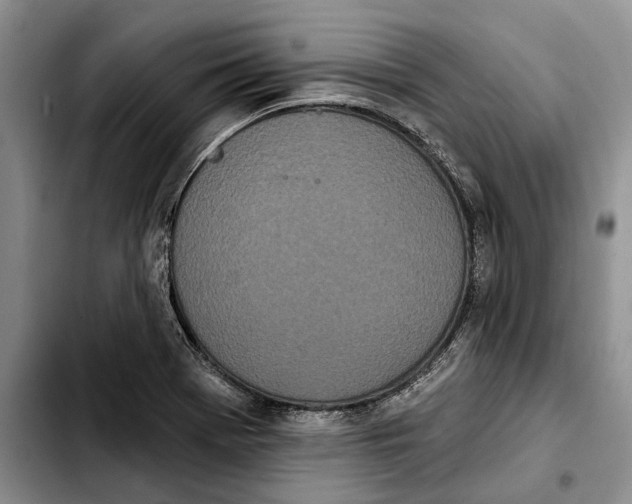 X0000103931369200810101343