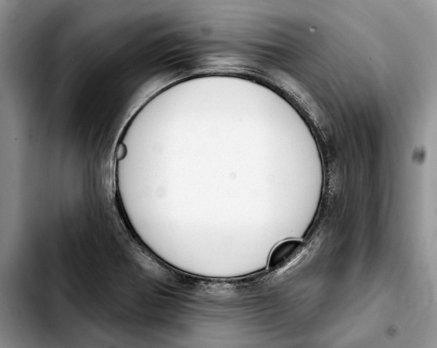 X0000103931370200810101343