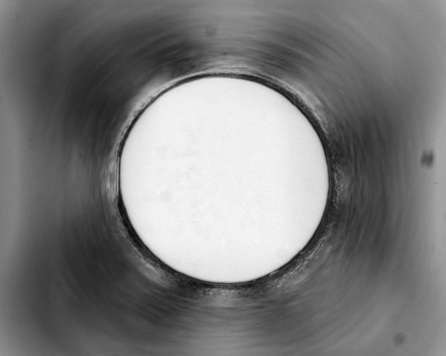 X0000103931371200810101343