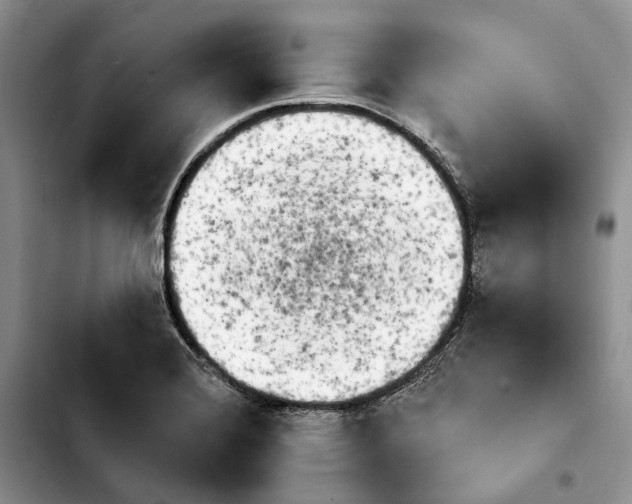 X0000103931372200810101343