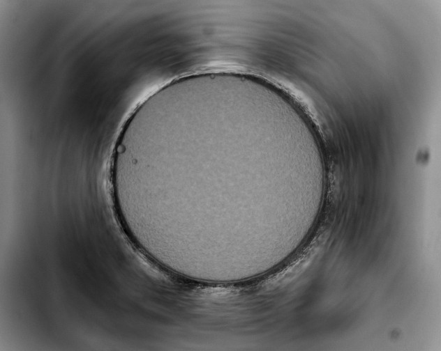 X0000103931373200810101343