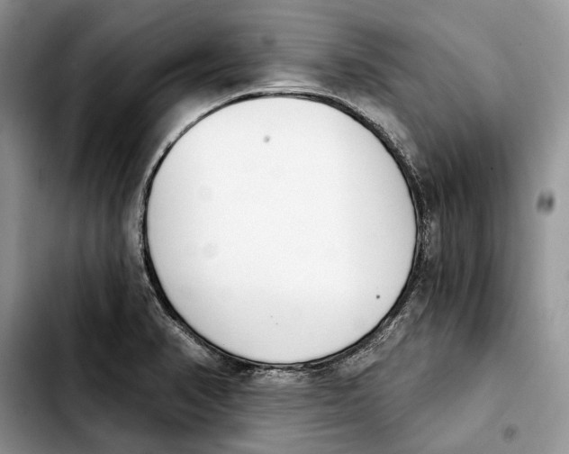 X0000103931374200810101343