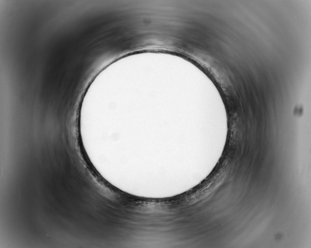 X0000103931375200810101343