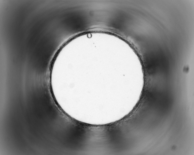 X0000103931376200810101343