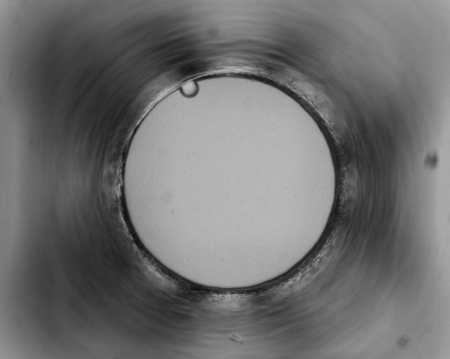 X0000103931377200810101343