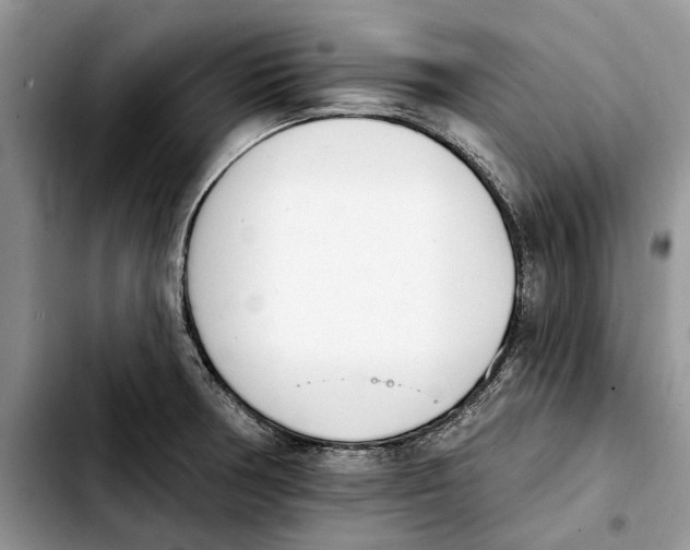 X0000103931378200810101343