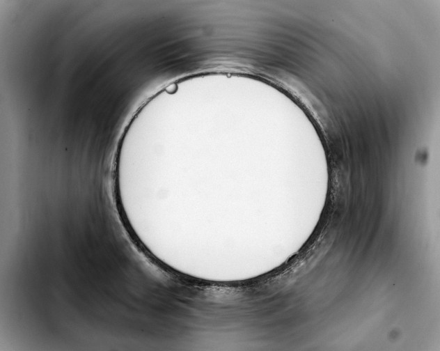 X0000103931379200810101343